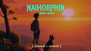 Naihorphin ❤️‍🩹💐  BODO SLOWED REVERB SONG 🎶❤️‍🩹 wangeditz1 slowed [upl. by Alleb]