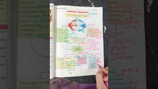 Acidsbases and Salts Formation and types Chemistry Class 10 [upl. by Huntington]