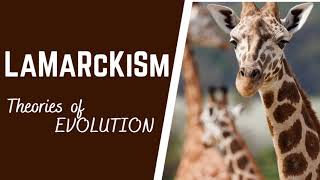 EvolutionTheories of evolution Lamarckism Lamarcks Theory of inheritance of acquired characters [upl. by Violeta]