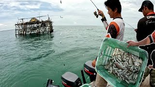 CUMA SEBENTAR  MANCING DEKAT BAGAN DAPAT IKAN PULUHAN KILO [upl. by Tod]