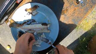 How to Fry A Trout On Melbourne Cup Long Weekend in Noojee [upl. by Euqenimod]