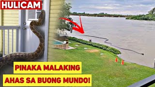 PINAKA MALAKING AHAS SA BUONG MUNDO HULICAM  WOWMAZING STORIES [upl. by Etnad]