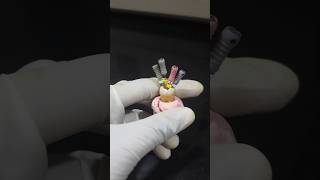 Found 4 canals on extracted molar bds molar root canal [upl. by Airyk]