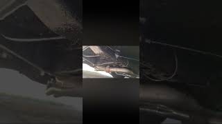 Sound onlyBeforeAfter Lifter replacement 1987 Chrysler 5th Ave [upl. by Vaish]