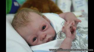 Reborn Baby Dolls by Nikki Holland  Picture Show 1 [upl. by Lantha]