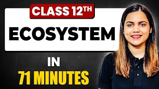 ECOSYSTEM in 71 Minutes  Biology Chapter 14  Full Chapter Revision Class 12th [upl. by Cressi]