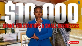 Apply now GRANTS for Small Businesses and Startups [upl. by Megdal]