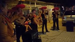 Mariachis en Barranquilla La Venia Bendita CEL 3017026915 [upl. by Mandeville35]