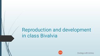 Reproduction and development in class Bivalvia  Phylum mollusca class Bivalvia Reproduction [upl. by Naujahs]