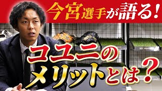 ソフトバンク今宮健太選手登場！新グラブ披露！コユニの使い方 [upl. by Shute673]