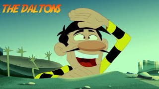 The Daltons 🌵 DALTONS CRAZY JOURNEY  in English HD [upl. by Nevaj763]