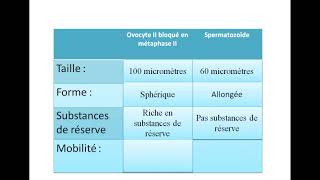 comparaison entre le gamète mâle et le gamète femelle [upl. by Droffilc]