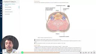 Gray Anatomia Clínica para Estudantes Cap 8  Cabeça e Pescoço Compartimentos cervicais [upl. by Clarisa]