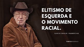 Olavo de Carvalho sobre o elitismo de esquerda e o movimento racial [upl. by Llenoj]