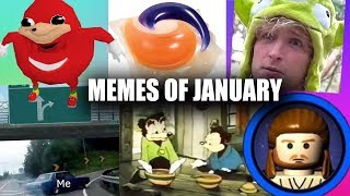 MEMES OF JANUARY 2018 [upl. by Adnowal]