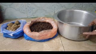 How to Make Mahua For Fishing مہوا بنانے کا طریقہ [upl. by Kcirdorb]