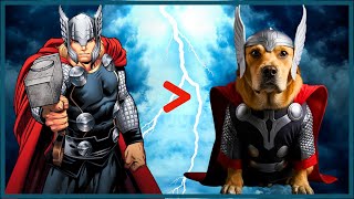 Superheroes As Dogs [upl. by Anikat]