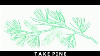 Logic System  Take Pine [upl. by Oruam]