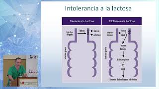 INTOLERANCIA A LA LACTOSA [upl. by Artemed]