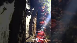 Yavatmal Ganpati visarjan 2K24 chapanwadi yavatmal yavatmalkar vlog ganpati [upl. by Shaughn118]