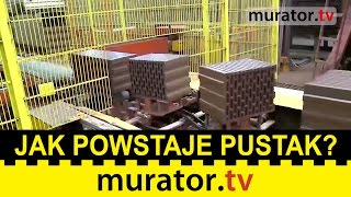 Jak powstaje pustak poryzowany Wizyta w zakładzie produkcji ceramiki [upl. by Naesyar]