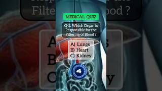 Medical quiz for knowledge❤️ medicalquiz anatomyquiz medicalknowledge shorts humanbodyknowledge [upl. by Inness]