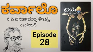 Episode 28  Karvalo kannada novel Audio  K P Poornachandra Tejaswi  ಕರ್ವಾಲೊ ಆಡಿಯೋ [upl. by Juback]