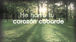 Aneeka  Demasiado Tarde Video Lyric [upl. by Ahseya]