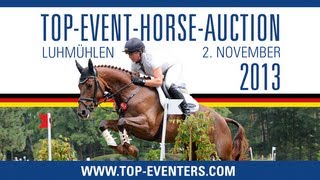 TOP EVENTERS AUCTION 2013  PREVIEW [upl. by Cornel509]