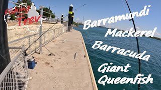 Fishing the outgoing tide at the Boat Ramp [upl. by Elletnuahc]