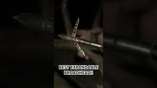 BEST EXPANDABLE BROADHEAD  Rek HXP Putting them down [upl. by Shore]