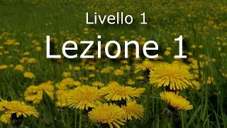 Italian Lezione 1  Revised 2018 [upl. by Anayia]