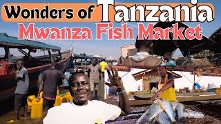 Africas LARGEST Fish Market Tour YOU WONT BELIEVE THE PRICES of Fish In Mwanza Tanzania [upl. by Nickey575]