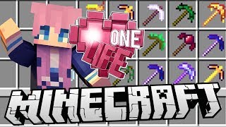 Pickaxe Collector Challenge  Ep 17  Minecraft One Life 20 [upl. by Takakura]