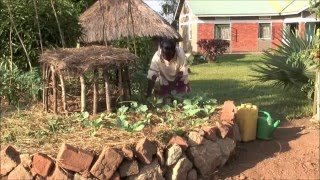 The Inventive African Keyhole Garden [upl. by Leonteen]