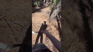 Flipping in the Mountains balisongtricks edc knifeskills tricks balisong balisongflipping [upl. by Metah]