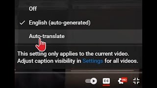 Auto Translate YouTube 00m 28s [upl. by Minny]