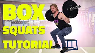 Box Squats Exercise Tutorial  An Amazing Beginner Squat Exercise [upl. by Fulbert]