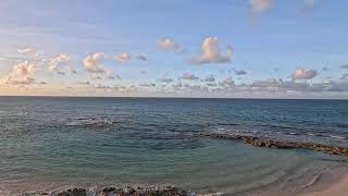 Bahamas Live 🇧🇸🐬Love Beach Live Cam 11082024 [upl. by Galen296]