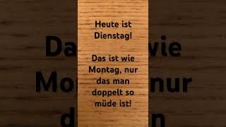 Rapunzula‘s Spruch Dienstag [upl. by Dworman]