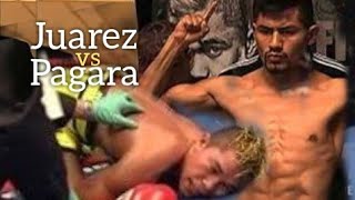 This is what happen when the boxer was over confidentJuarez vs Pagara knockout highlights [upl. by Travis]