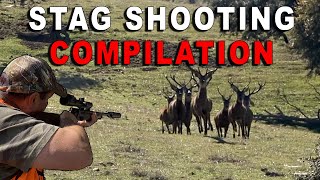 Compilation tirs cerfs en Espagne  Stag shooting compilation [upl. by Coulombe]