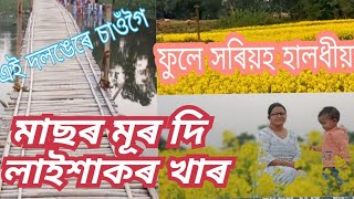 vlog লাই শাকৰ সৈতে মাছৰ মূৰৰ খাৰ৷ হালধীয়াৰ মাজত এটি আবেলি৷laishak khar [upl. by Uol206]