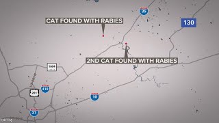 Feral cats test positive for rabies in Comal County [upl. by Isherwood550]