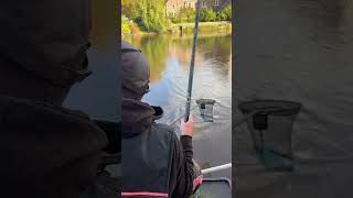 A peaceful day on the River Wye…😳🎧 fishing riverfishing whipfishing [upl. by Ky596]