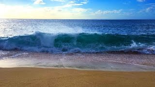 Ocean Waves Relaxation 10 Hours  Soothing Waves Crashing on Beach  White Noise for Sleep [upl. by Notlih]