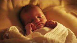 Womb Sounds amp Heartbeat  Baby White Noise for Gentle Sleep 🌟💕 [upl. by Alesi32]