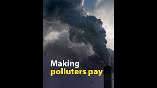 The polluter pays Updated Emissions Trading System [upl. by Acsicnarf]