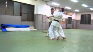 Shodokan Aikido Atemi waza [upl. by Loftis]