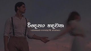 Ridena Hadawatha SlowedReverb  lyrics  M Status [upl. by Nerak481]